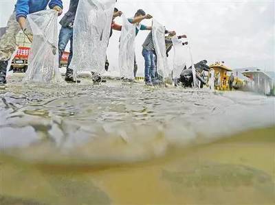 深化水環(huán)境污染防治 守護(hù)我市碧水清波