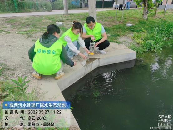 美翻了 污水廠用尾水養(yǎng)出生態(tài)濕地